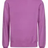 PULLOVER GIROCOLLO IN COTONE | Eddy Monetti Sale